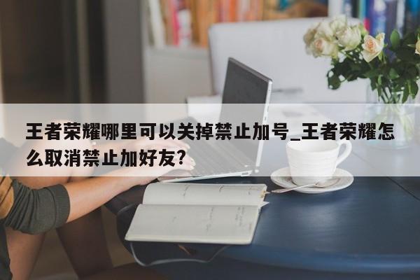 王者荣耀哪里可以关掉禁止加号_王者荣耀怎么取消禁止加好友?